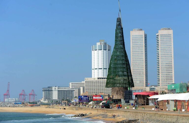 The image. They erected the tallest Christmas tree in the world